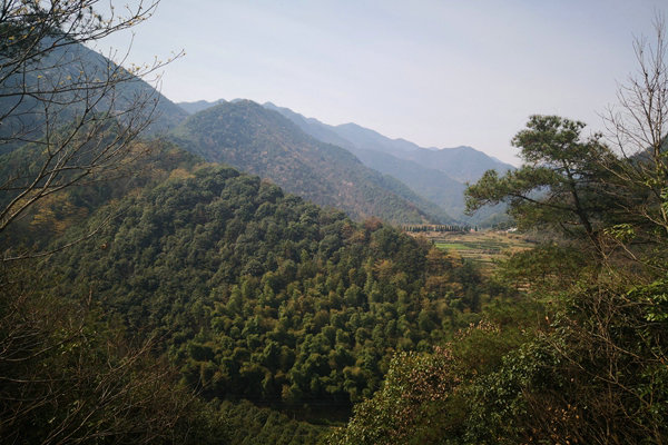 甘肅“五棋聯動”筑牢西部生態屏障，PM2.5平均濃度連續兩年同比下降